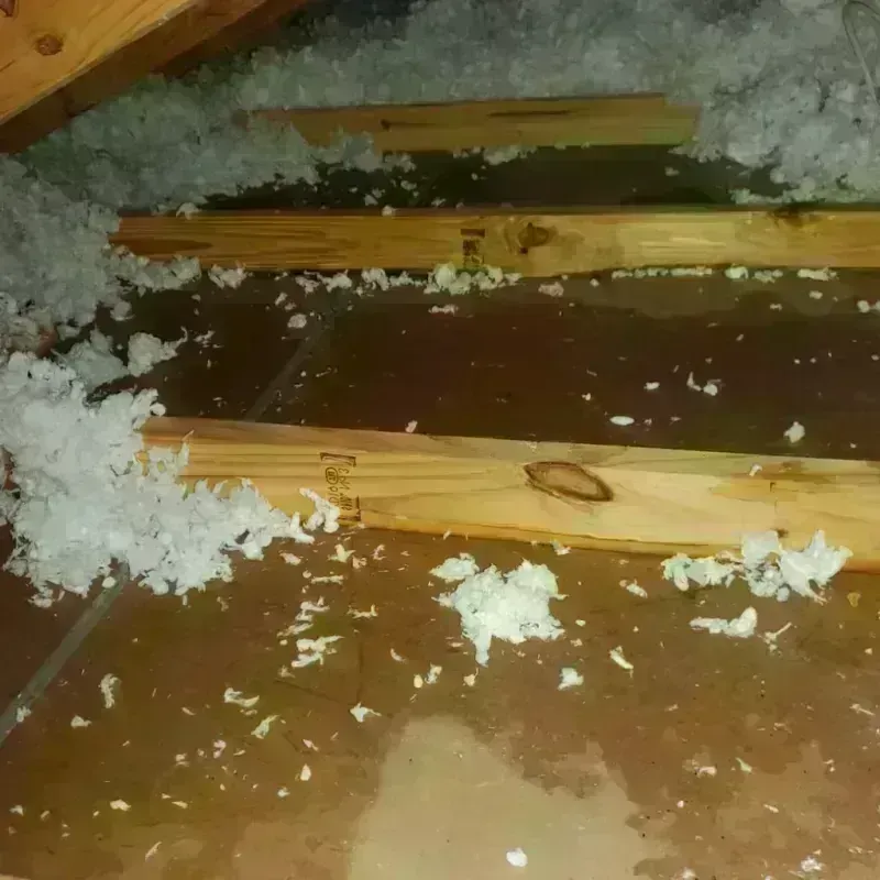 Attic Water Damage in Ashland, NH